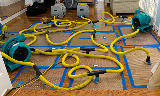 Professional Sewage Cleanup technician working in Askov, MN